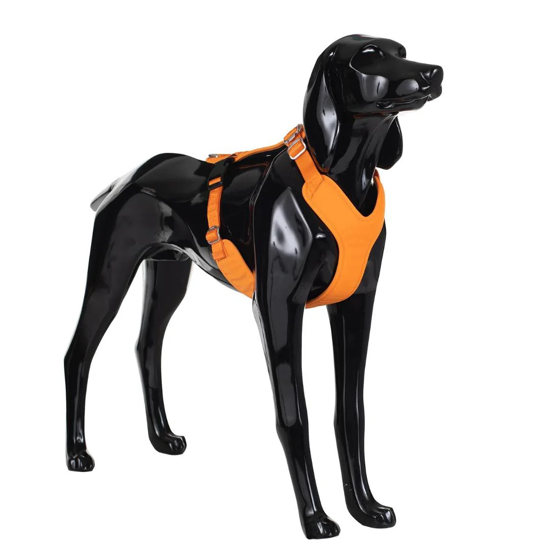 PAIKKA Visibility Harness Sele  S - Orange - 5