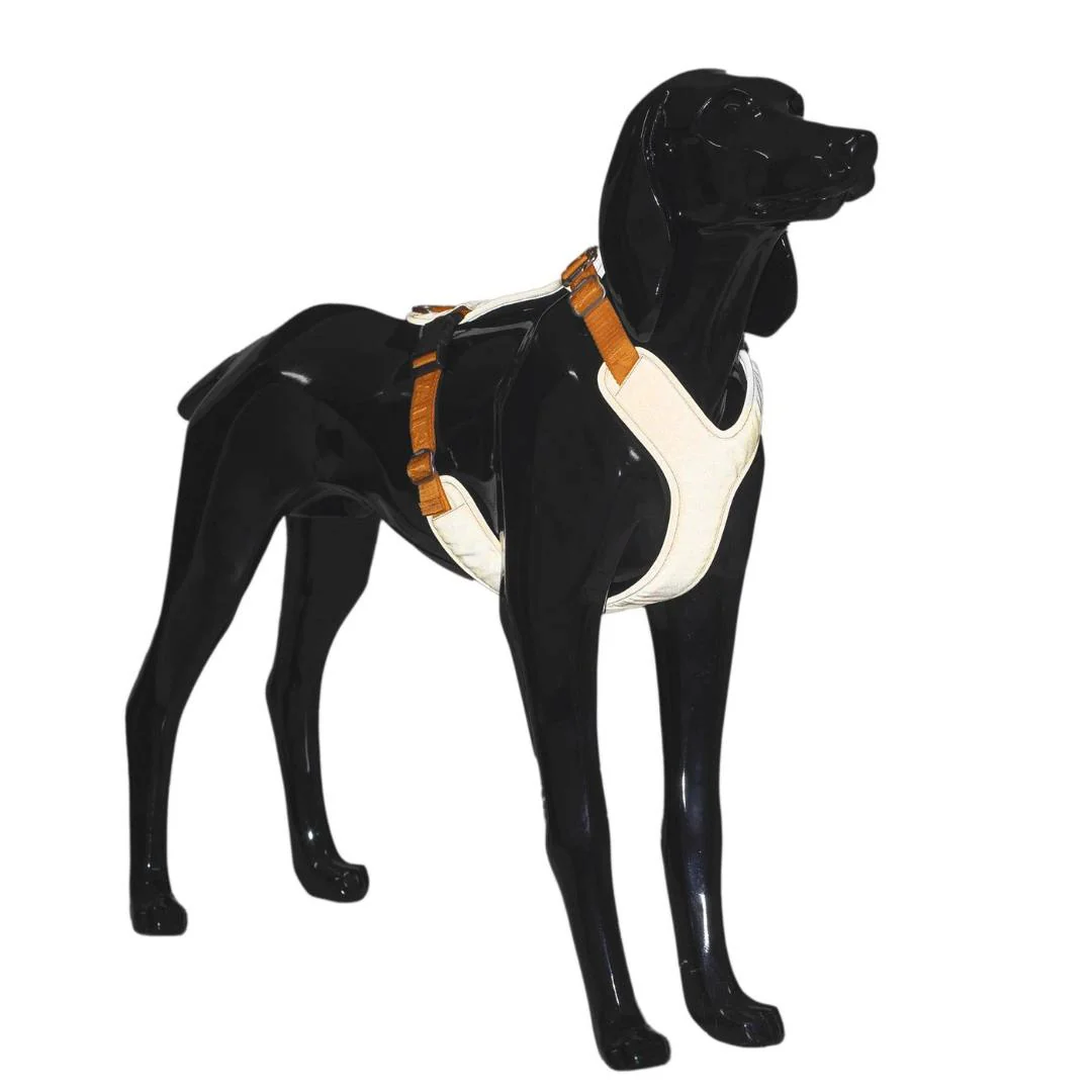 PAIKKA Visibility Harness Sele  S - Orange - 4