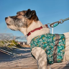 Hurtta ECO Safety Wrap Reflex Dog Vest - Peacock - 3
