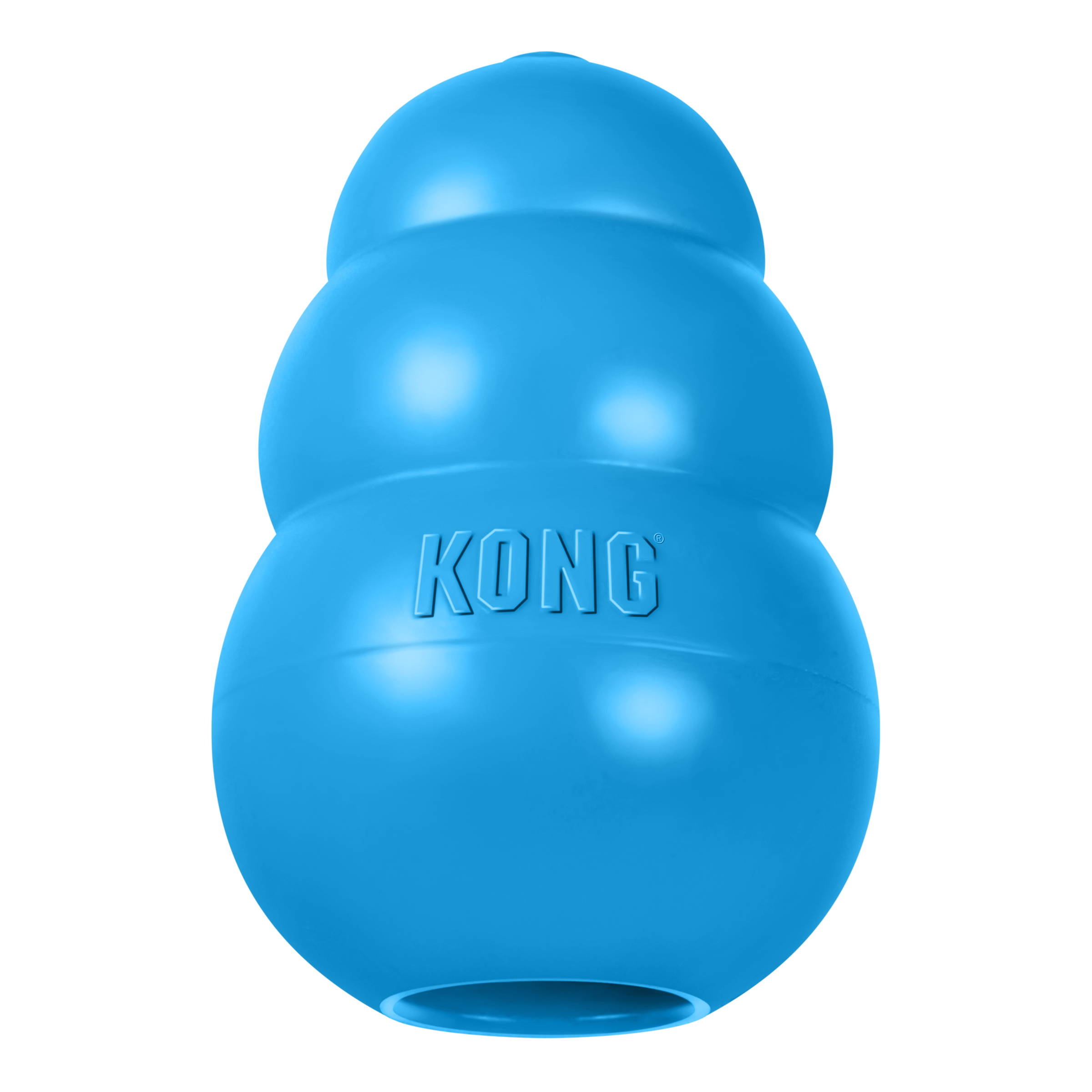 KONG Puppy - 14