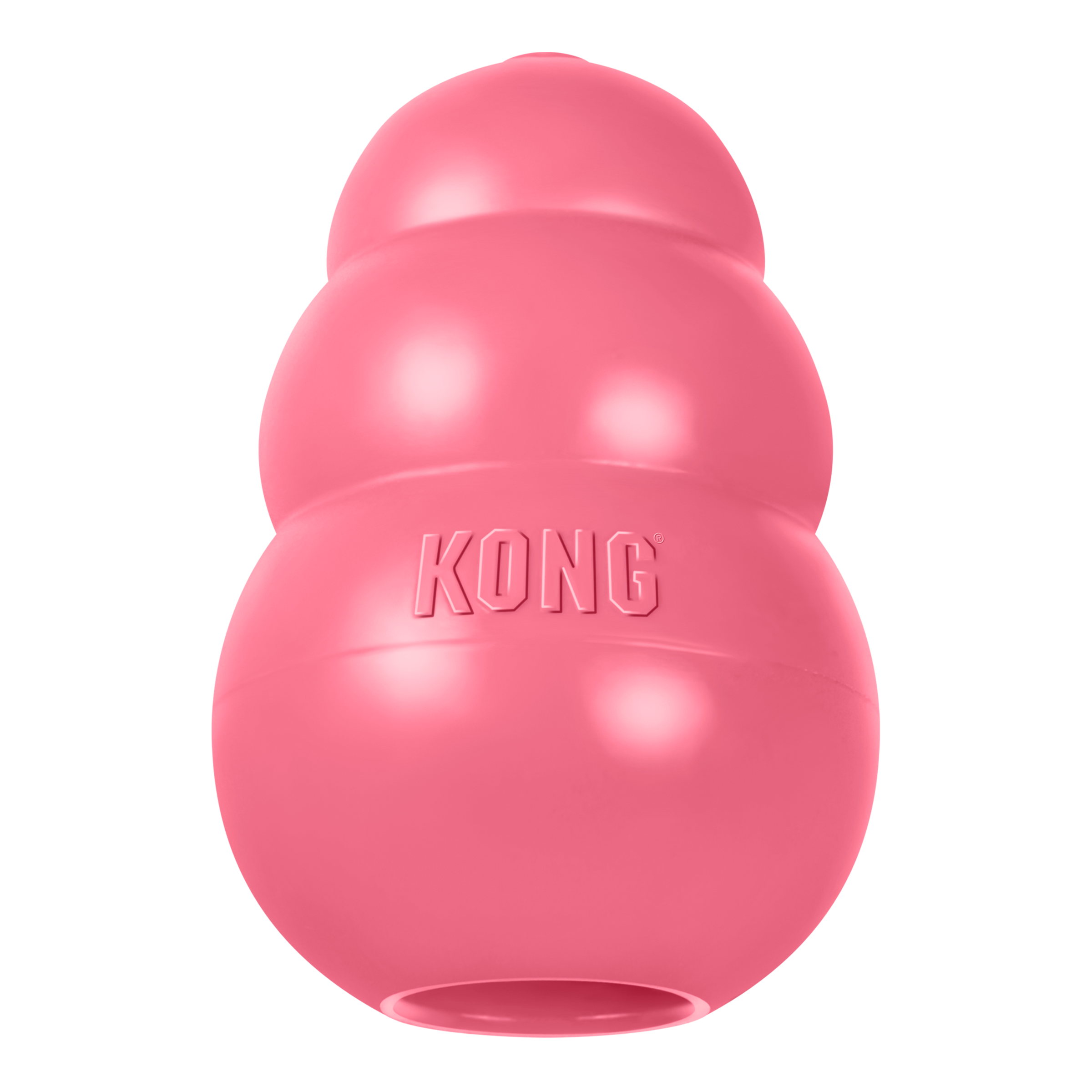 KONG Puppy - 15