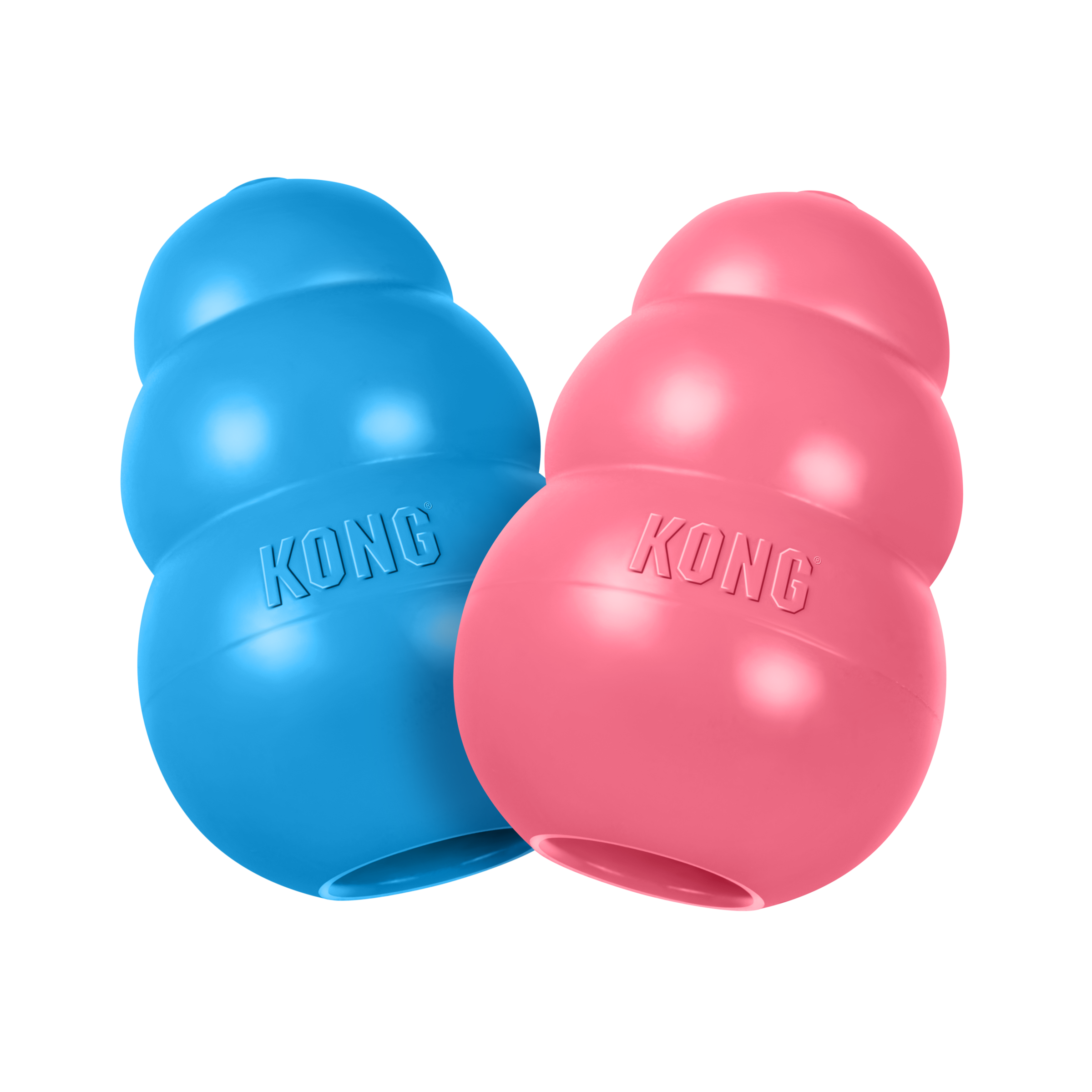 KONG Puppy - 3