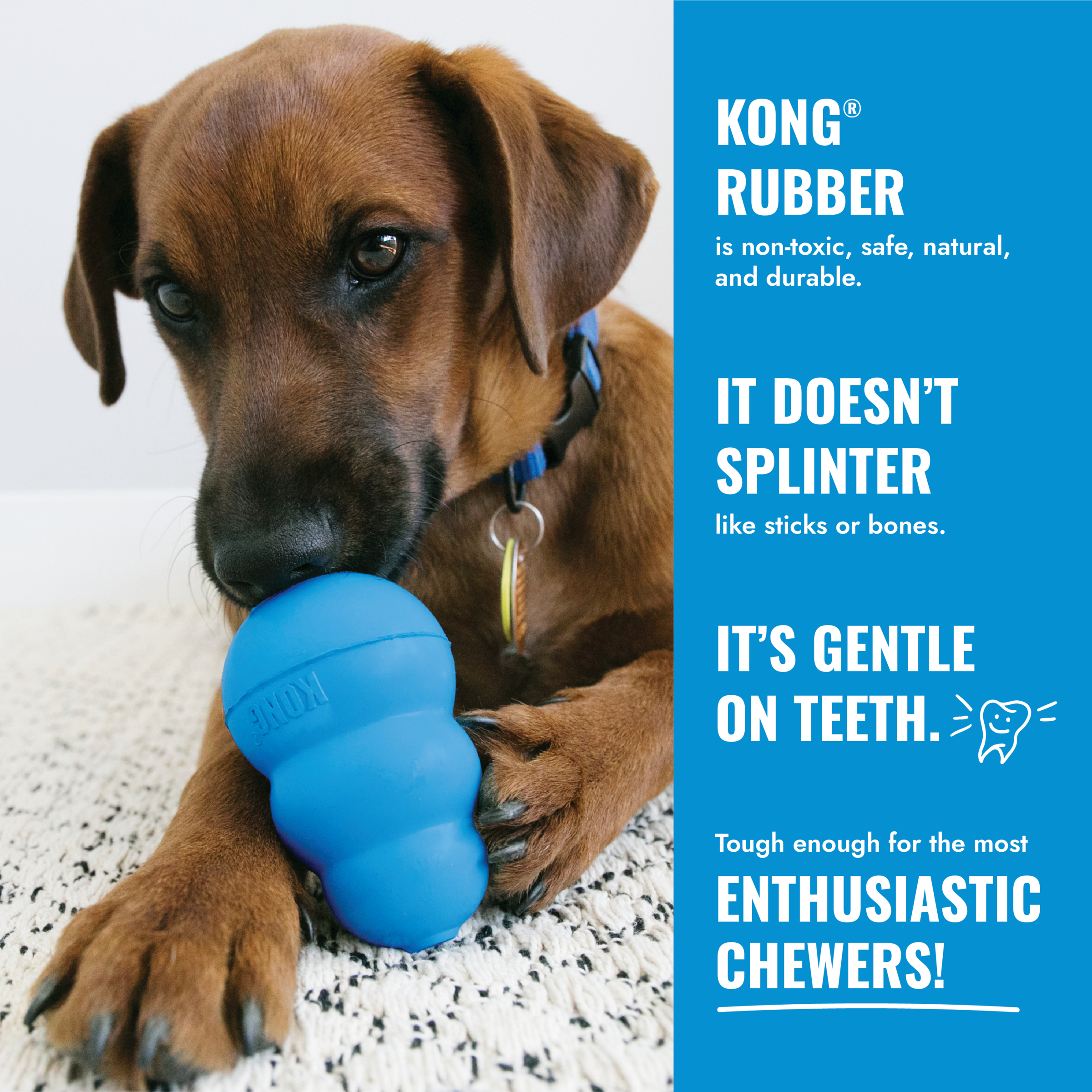 KONG Puppy - 11