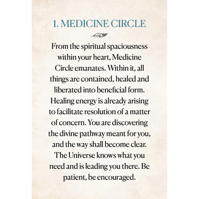 Medicine Heart Oracle - Pocket Panda Edition Nourishing Transfusions of Medicinal Grace - Alana Fairchild - 3