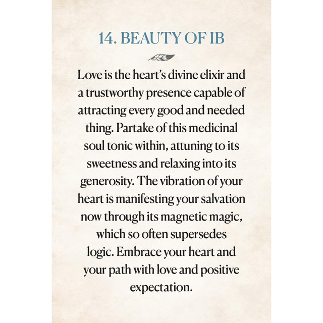 Medicine Heart Oracle - Pocket Panda Edition Nourishing Transfusions of Medicinal Grace - Alana Fairchild - 5