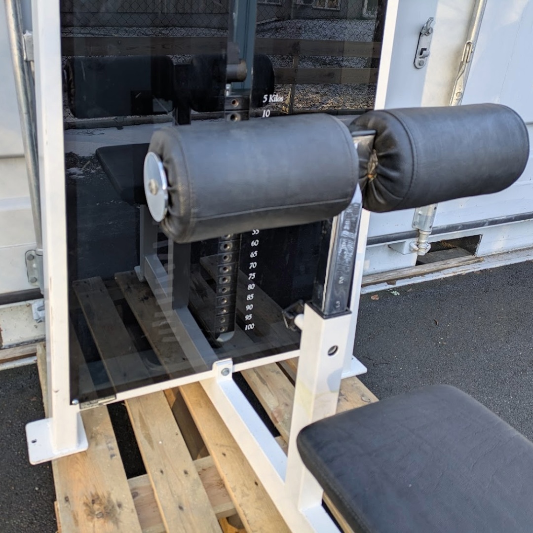 Draghiss Pulse Fitness 100 kg magasin - 4