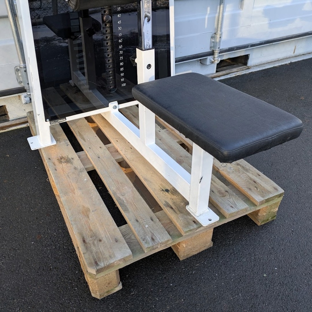Draghiss Pulse Fitness 100 kg magasin - 2