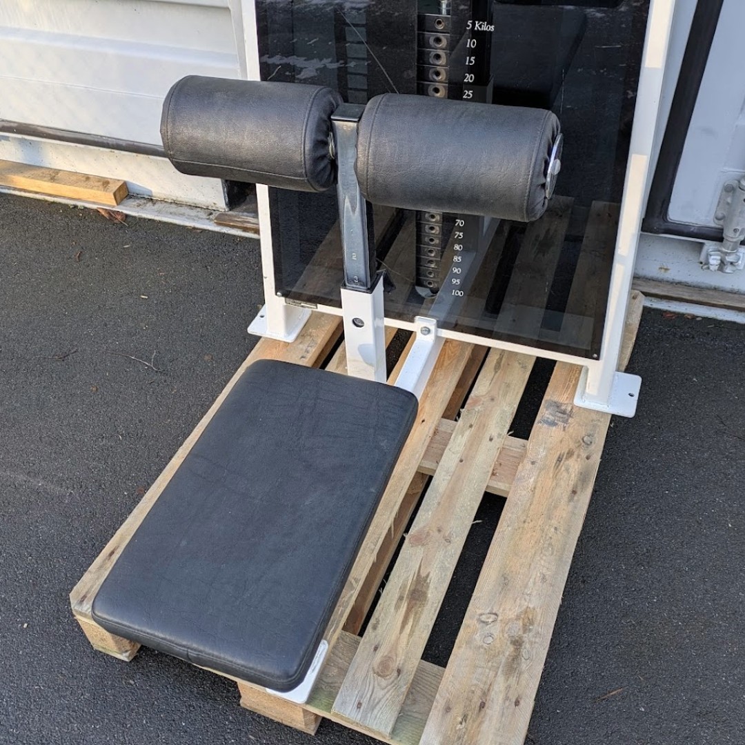 Draghiss Pulse Fitness 100 kg magasin - 3