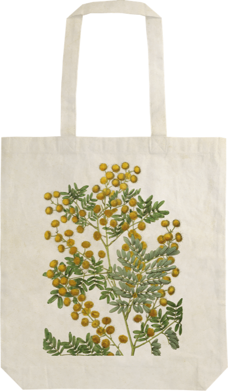 Tygkasse Mimosa