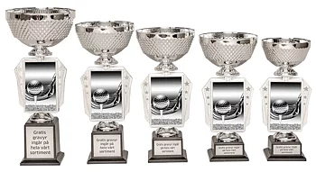 Pokal Action- Golf