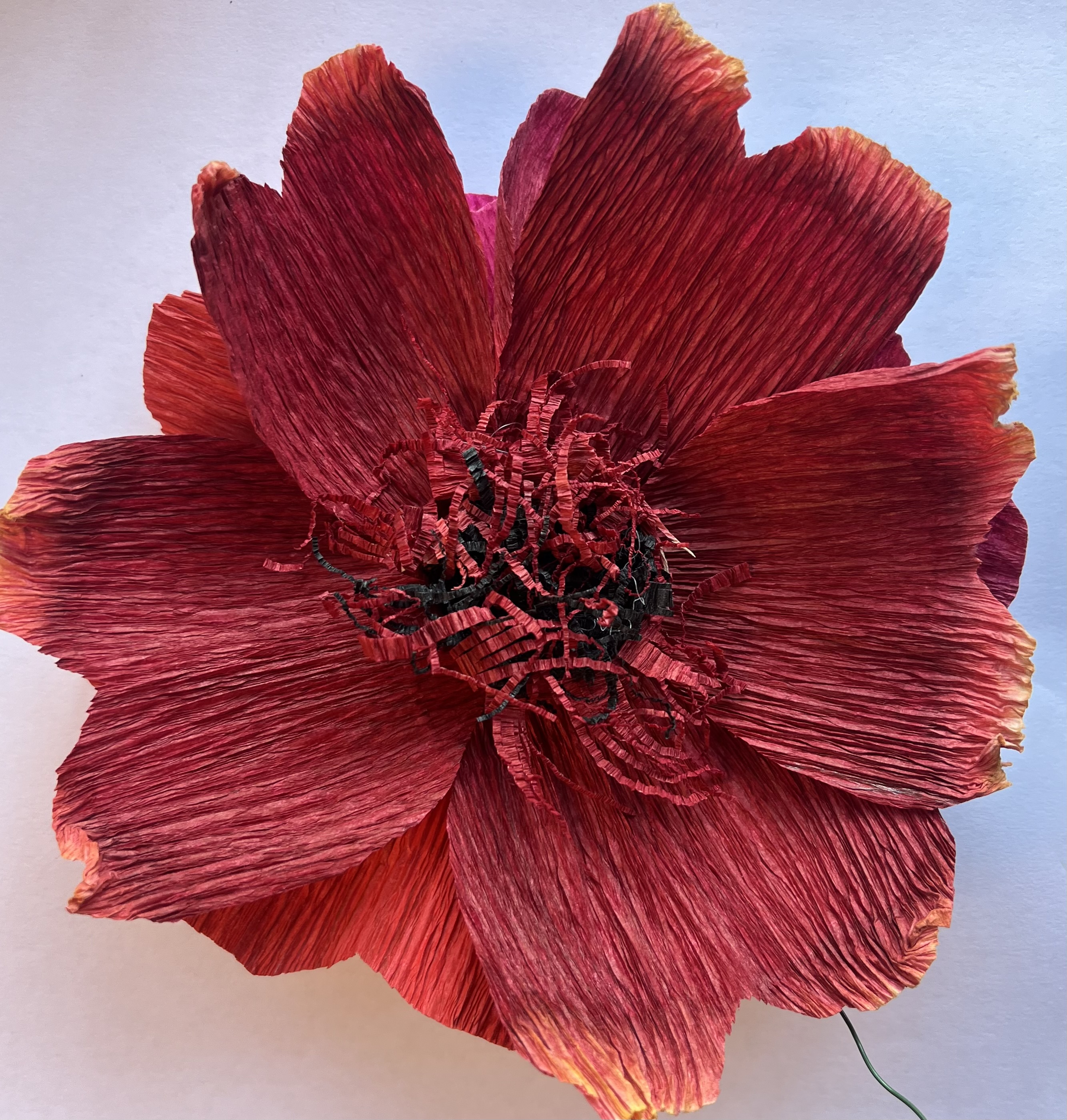 Bild på röd hibiskus gjord av papper.