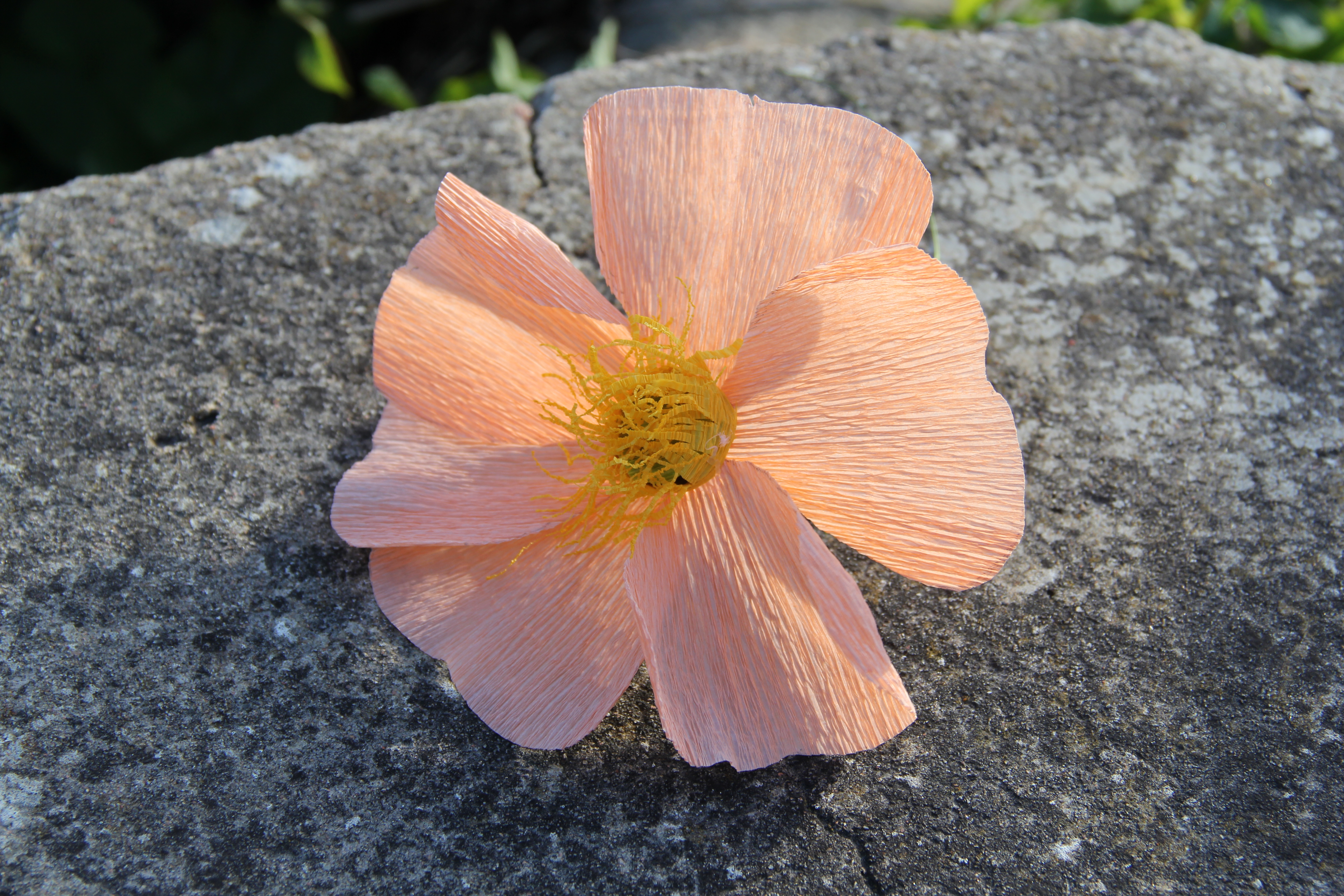 Nyponrosor & Anenomer - två blommor i en workshop - 6