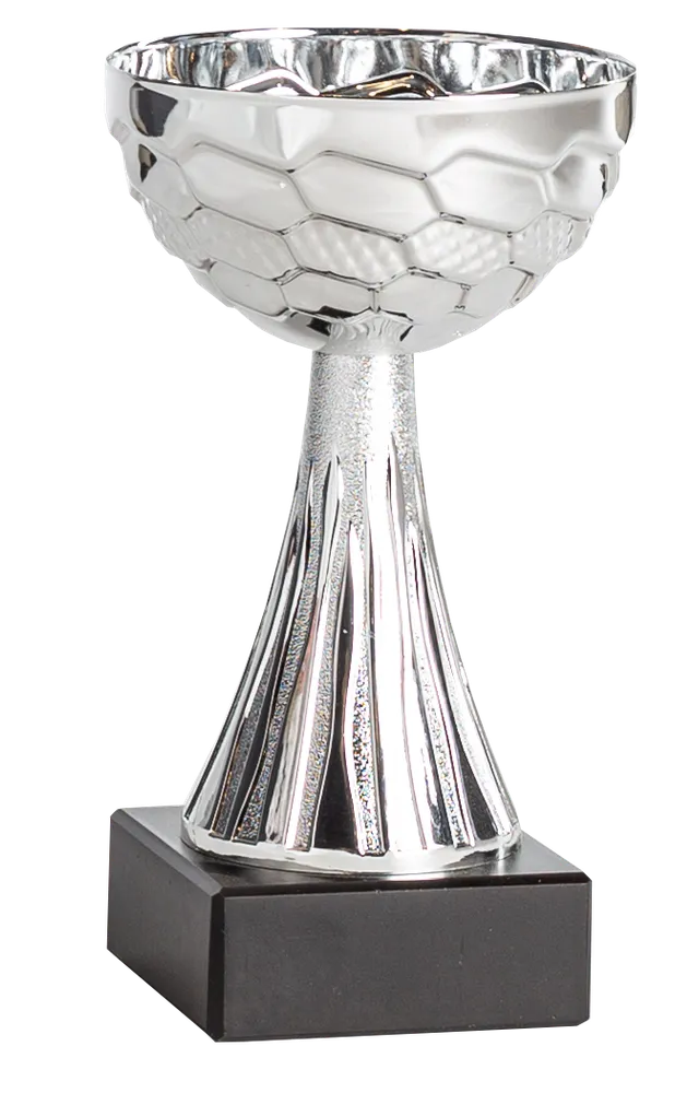 Pokal Sandefjord, inklusive gravyr! - 2