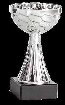 Pokal Sandefjord, inklusive gravyr!