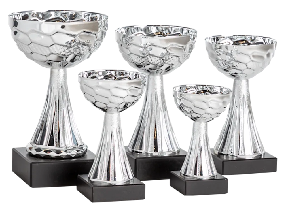 Pokal Sandefjord, inklusive gravyr!