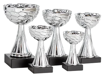 Pokal Sandefjord, inklusive gravyr!
