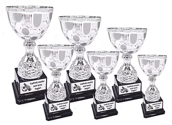 Pokal Frost, inklusive gravyr!
