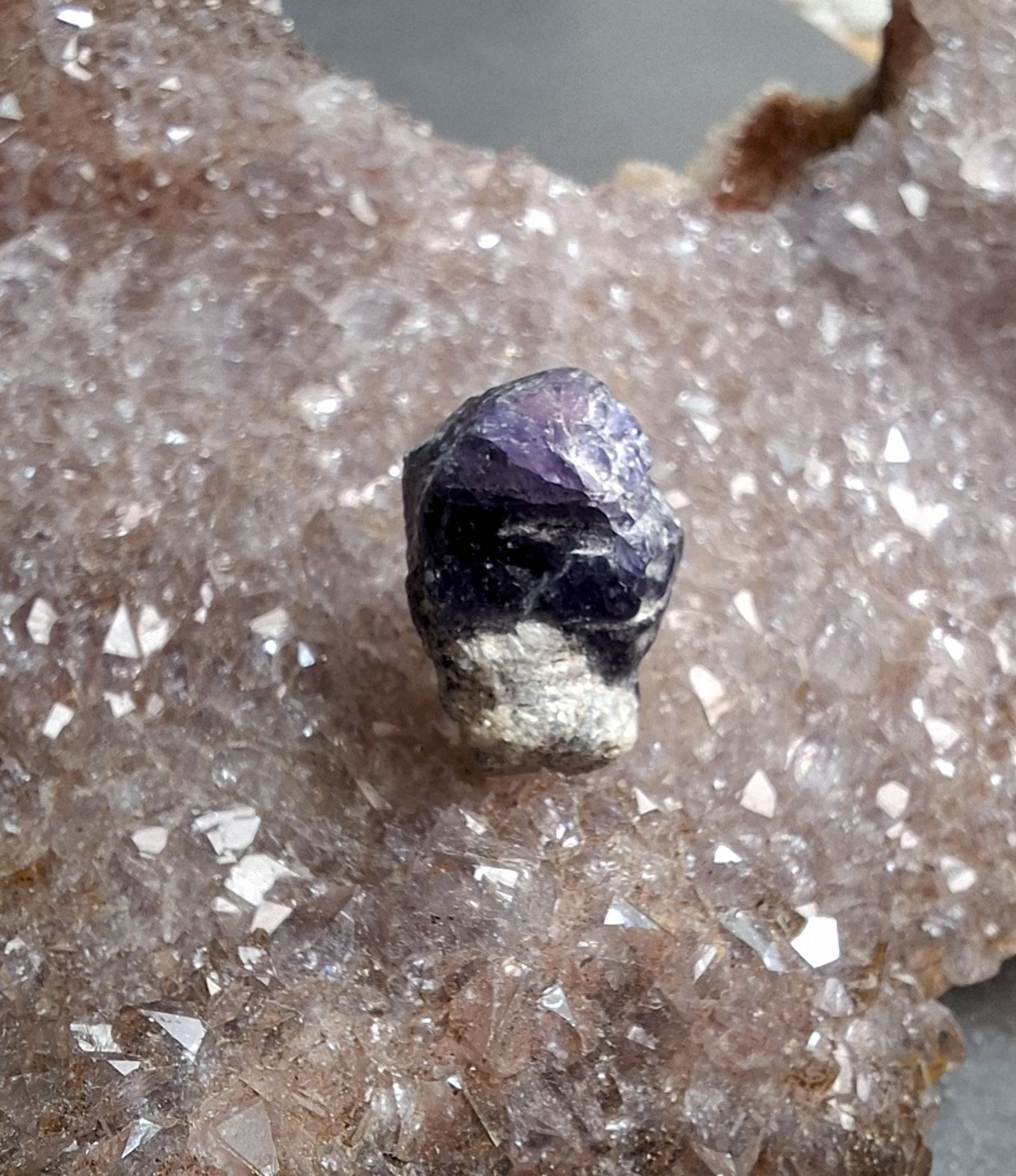 Lila Safir - 10.3ct