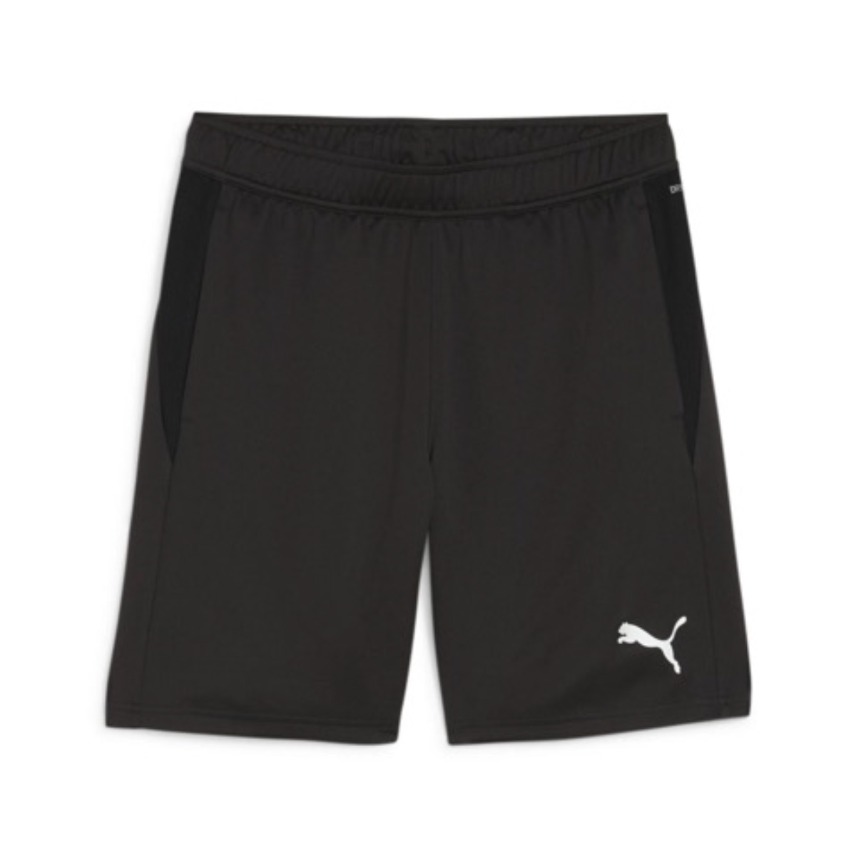 Puma Teamgoal Pocket Shorts (Lillån IBK)