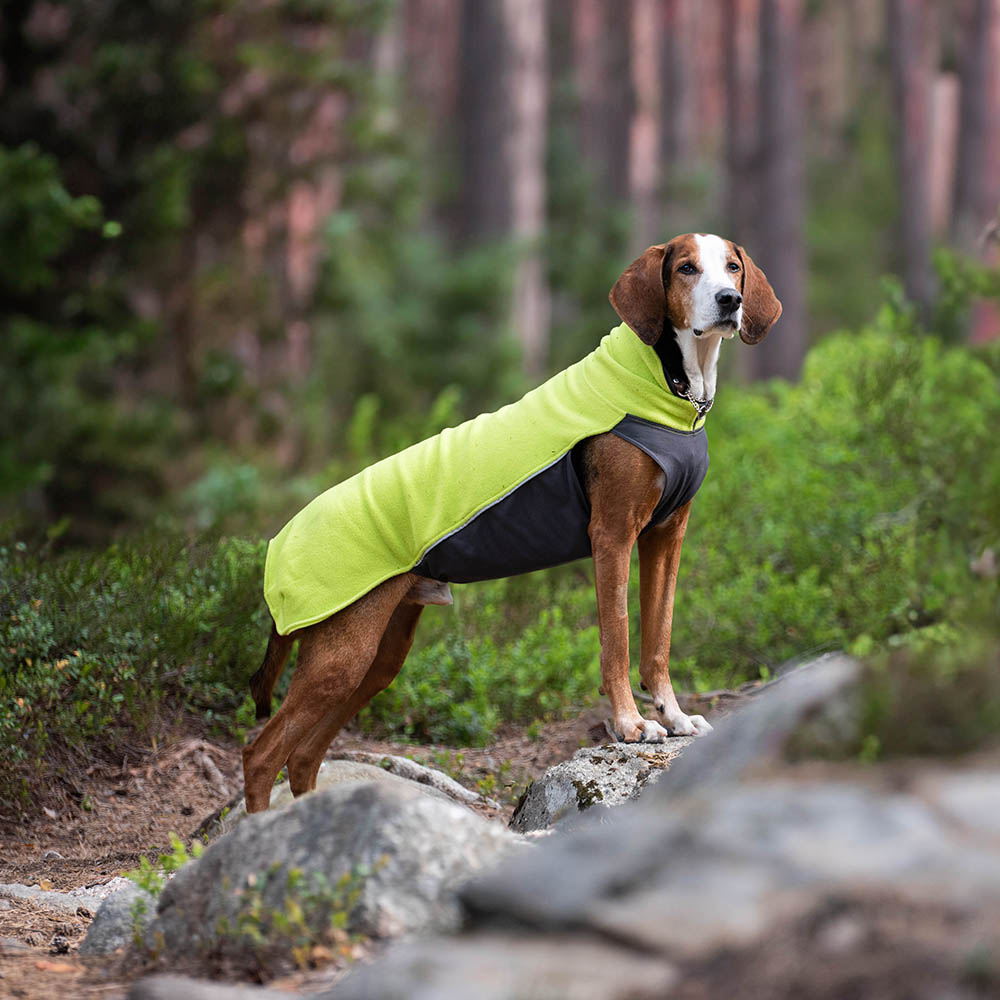 Pomppa(ポムッパ) ペルス ポムッパ ミント 65 Pomppa(ポムッパ) ペルス ポムッパ ミント 65 Pomppa(ポムッパ) ユンパ