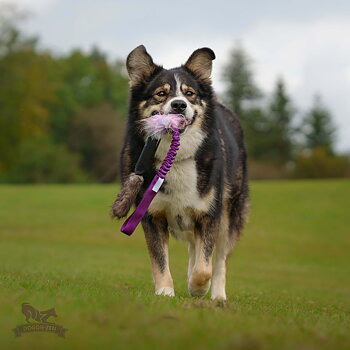 Bungee Squeaker Tube Beaver Tug