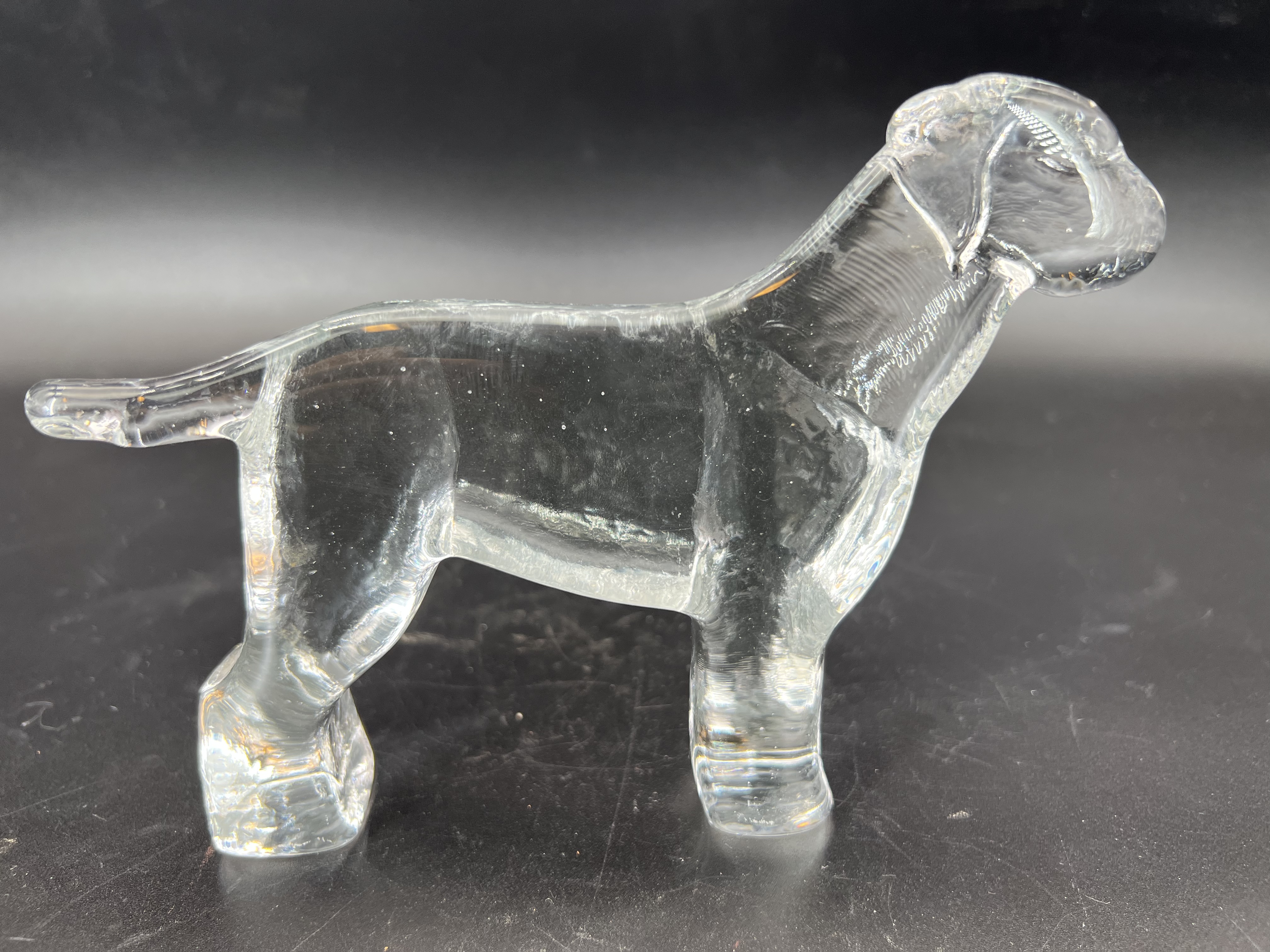 Kosta, Bertil Vallien, " Labrador " from the series Kennel - 4