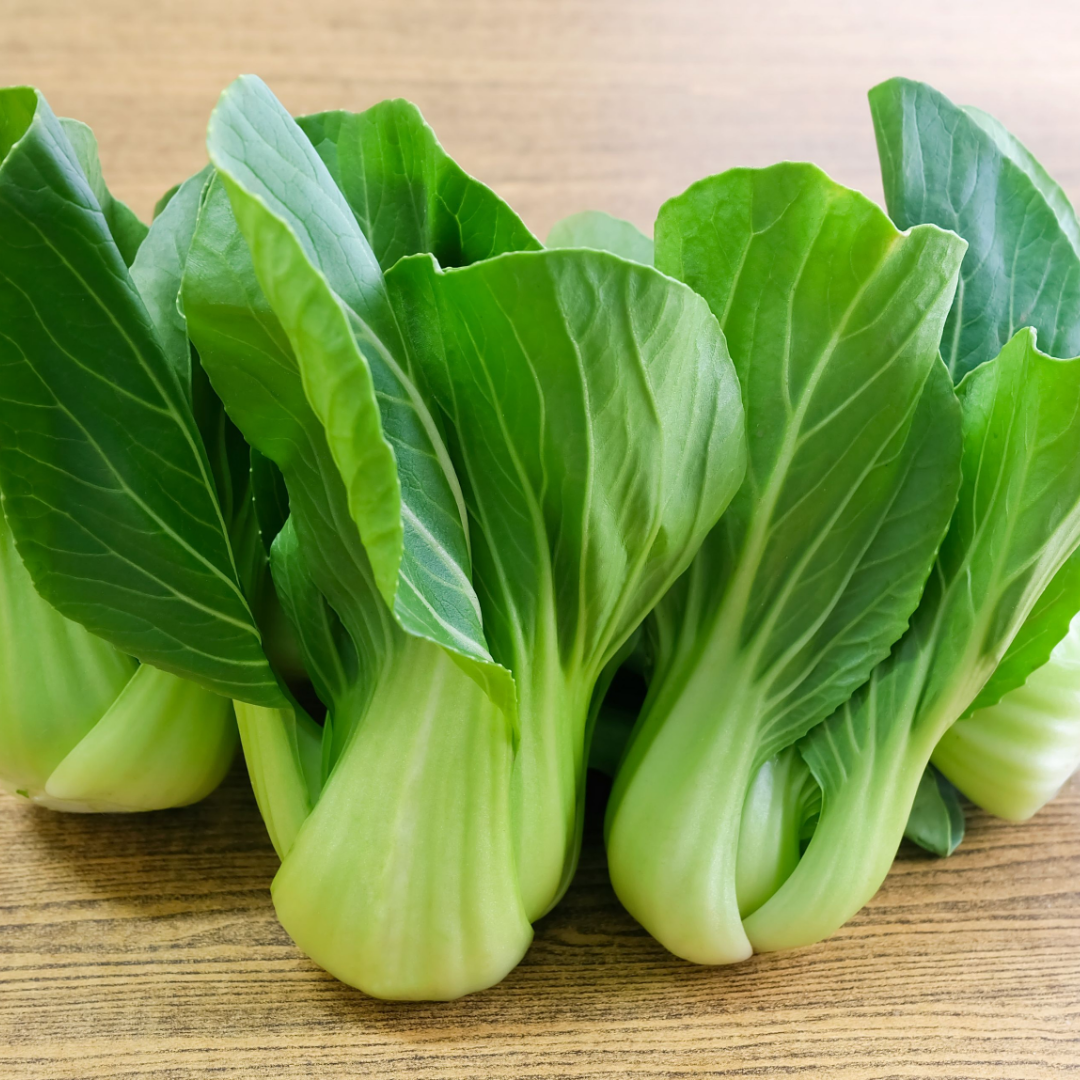 Ekologisk Pak Choi - Tiny Bok Choi