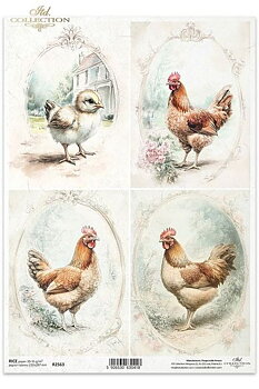 Hönor och kyckling