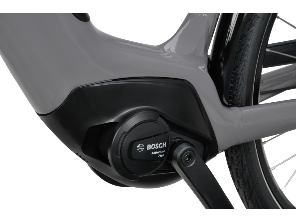 BATAVUS Altura Power Plus Electric Bike Gray - 5