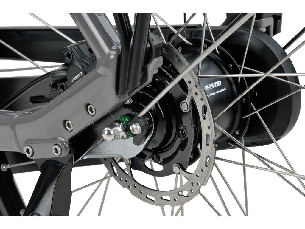 BATAVUS Altura Power Plus Electric Bike Gray - 7