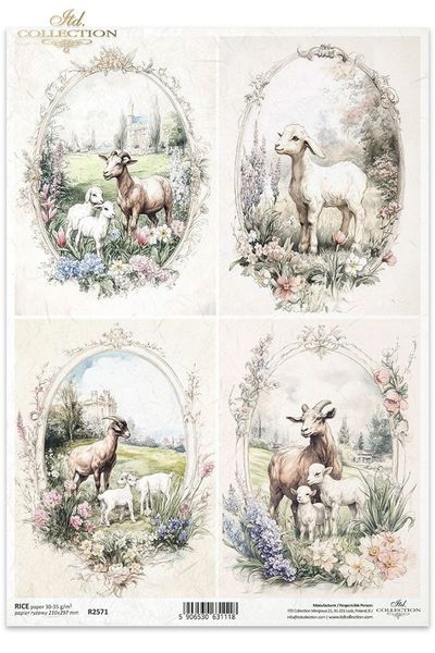 Får och lamm