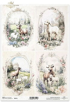 Får och lamm