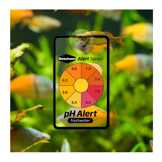 Seachem Alert Combo-pack - pH/Ammoniak - 3