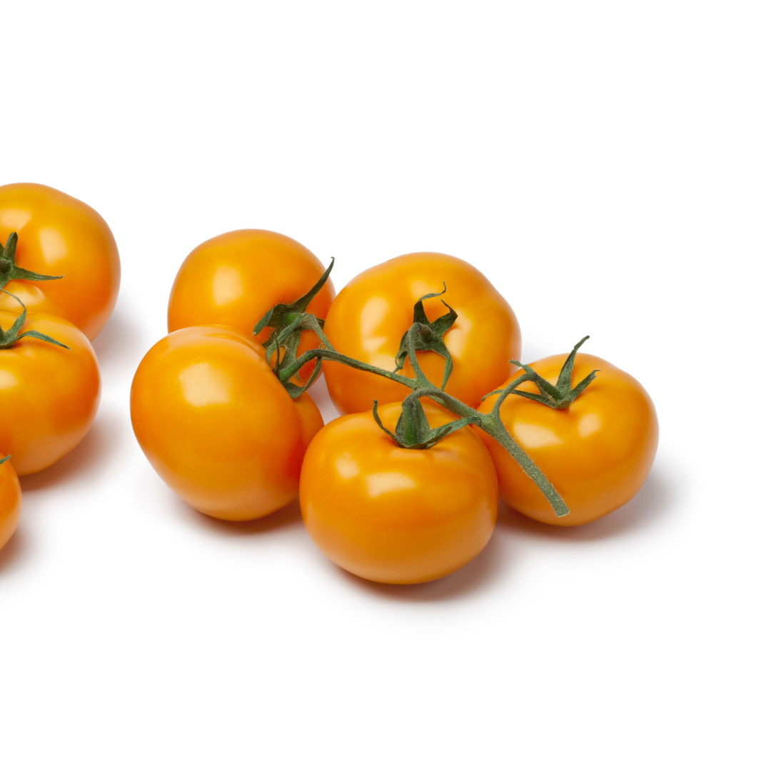 Ekologisk Salladstomat - Auriga - Kultursort