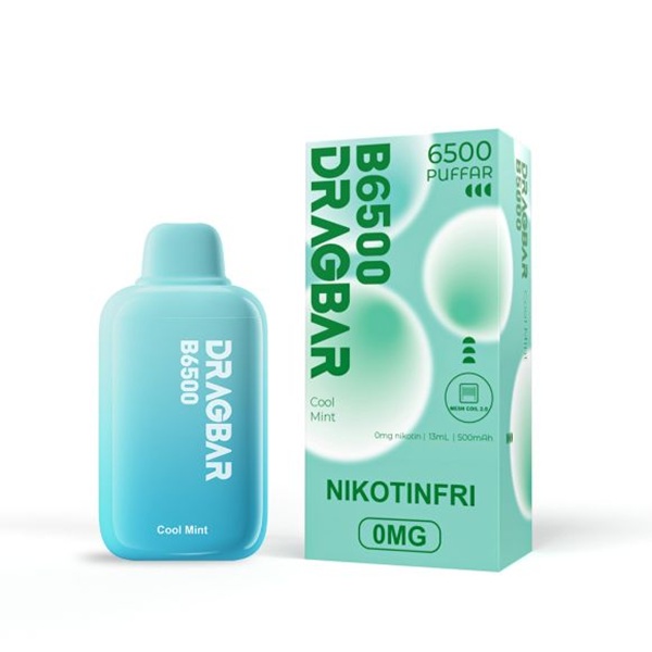 Dragbar B6500 Nikotinfri Vape - Cool Mint