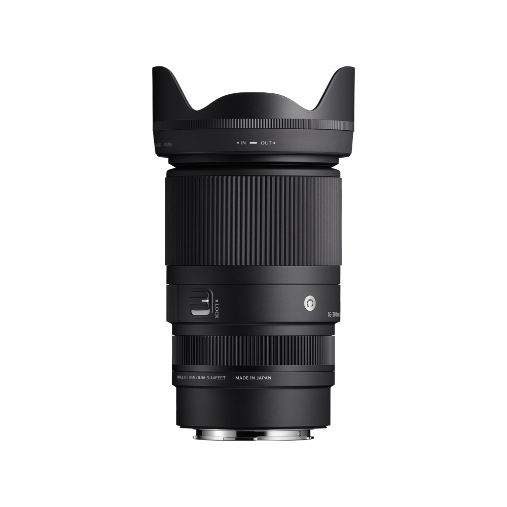 Sigma 16-300/3.5-6.7 DC OS Contemporary for Sony E - 5