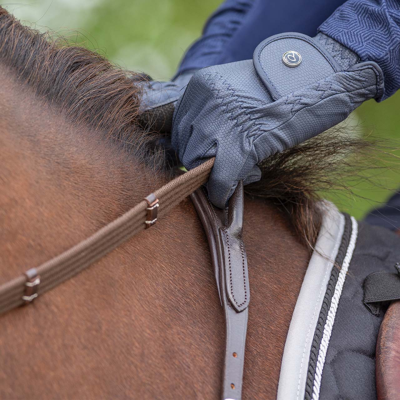 Breastplate with handle QHP