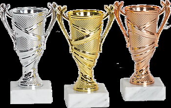 Pokal  Hobart, inklusive gravyr!