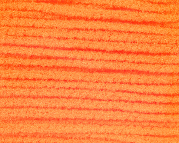 SQUIRTY CHENILLE 1 mm - Textreme - 8