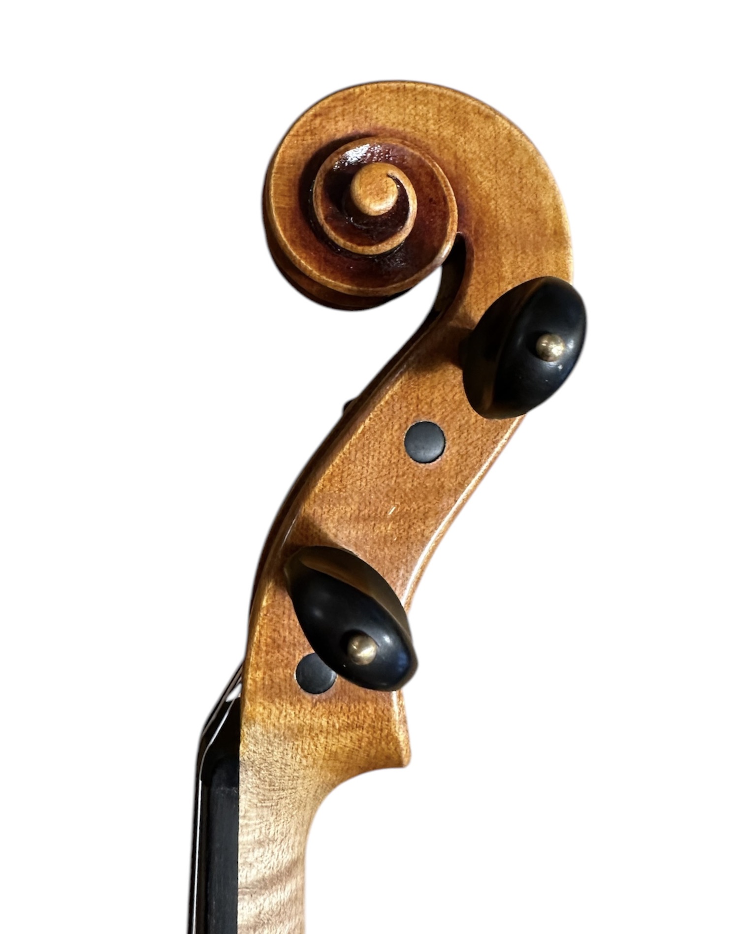 39,5 cm viola, Violinateljé Amundin, Stockholm 2025 - 4