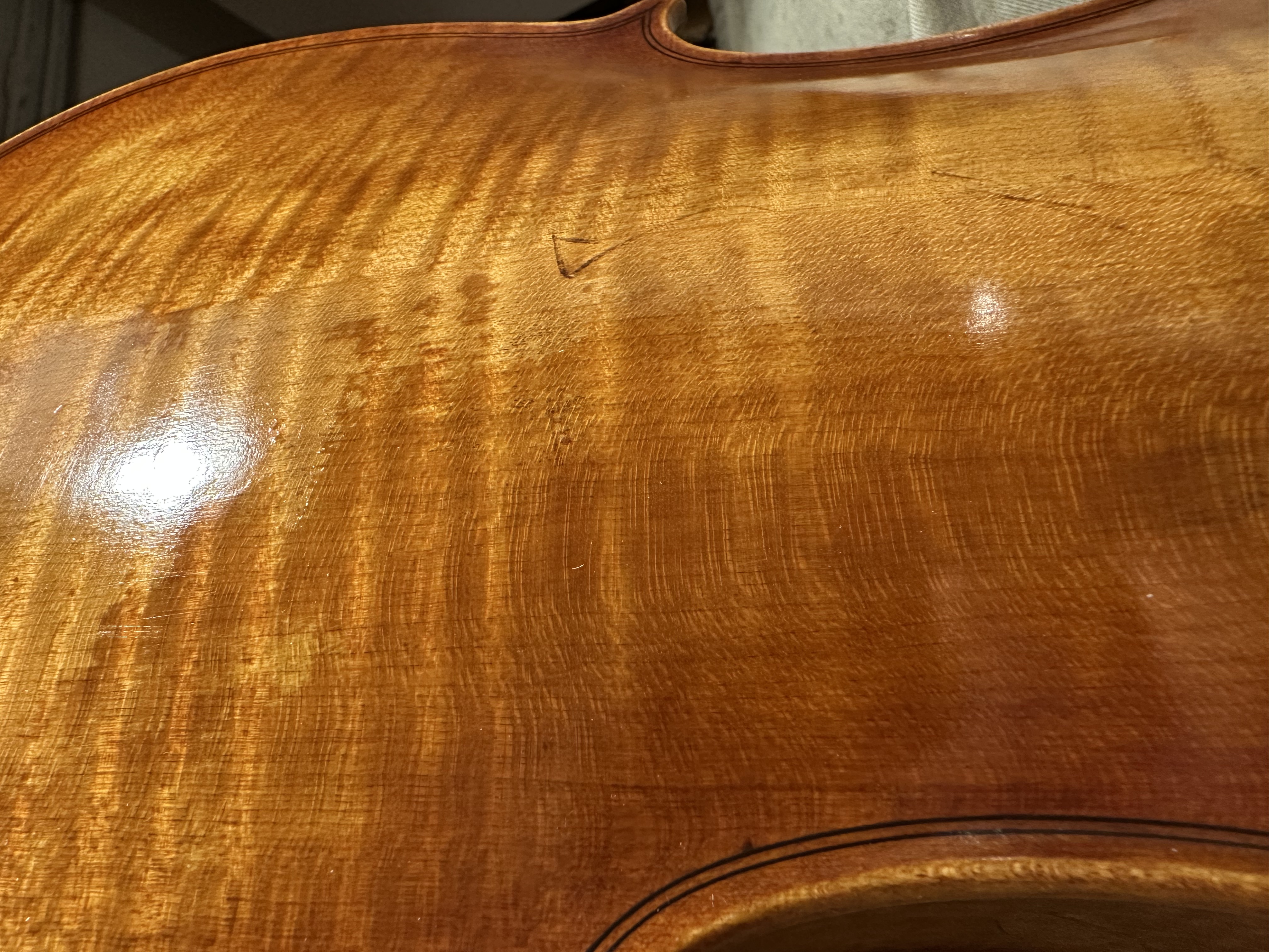 39,5 cm viola, Violinateljé Amundin, Stockholm 2025 - 10