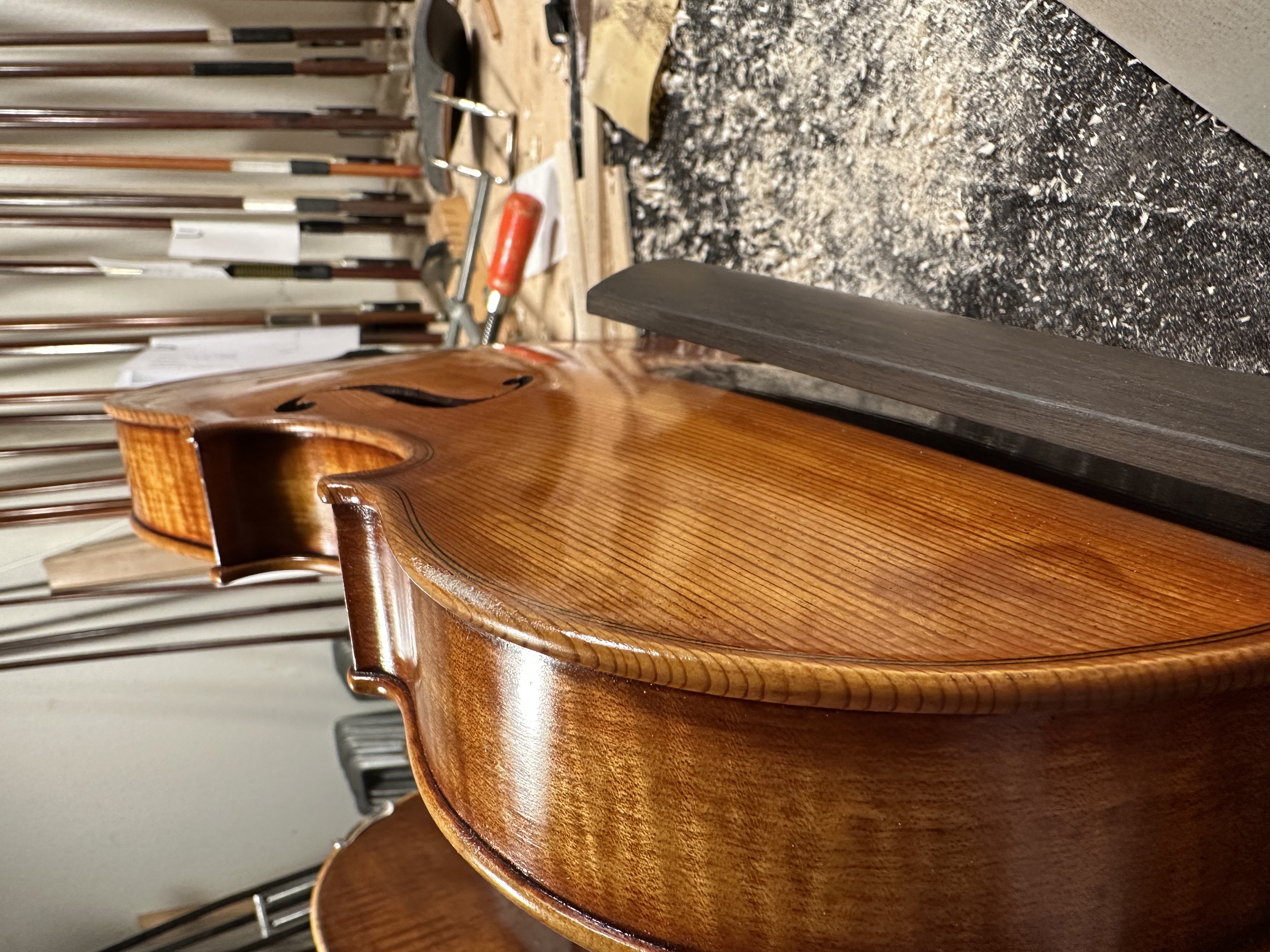 39,5 cm viola, Violinateljé Amundin, Stockholm 2025 - 6