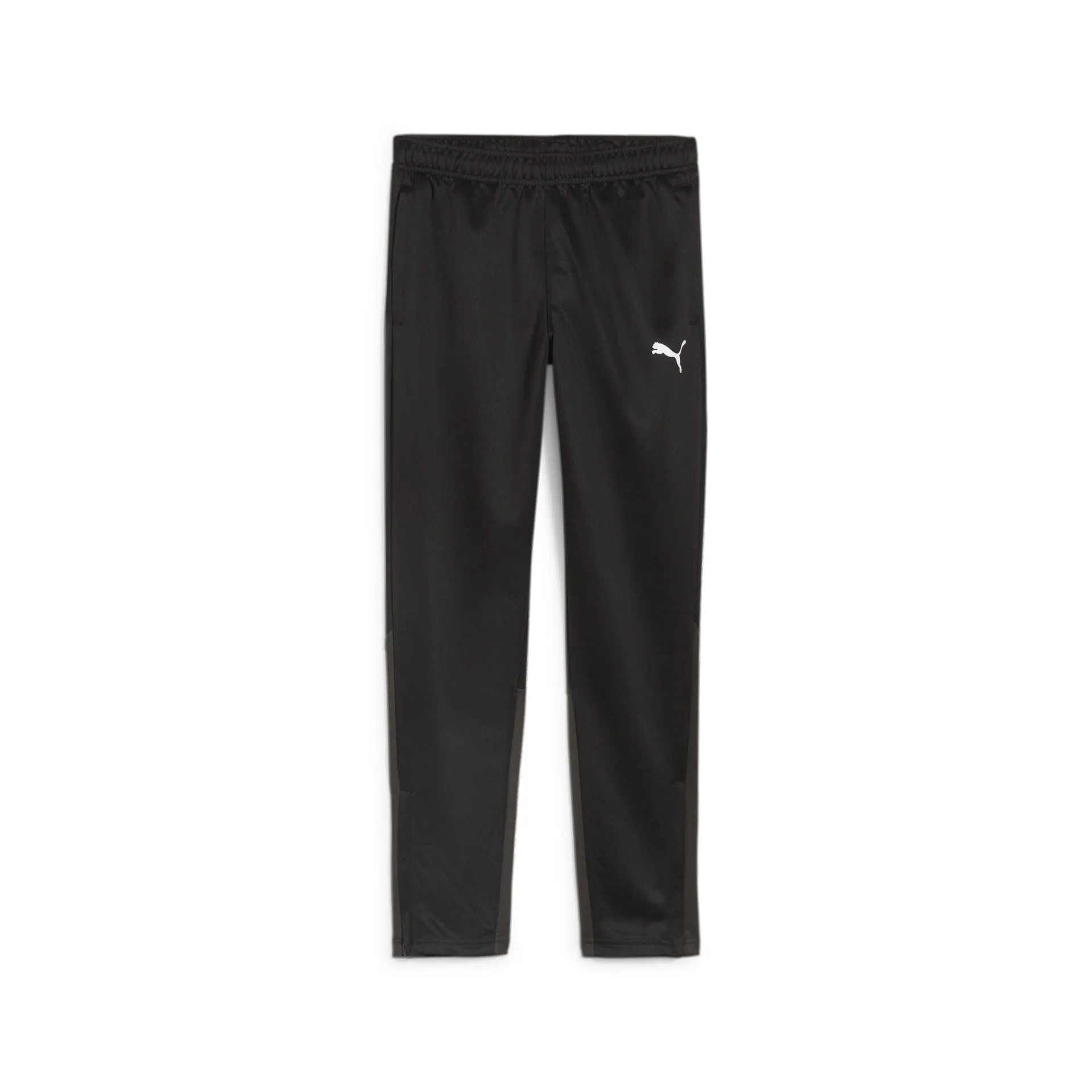 Puma Teamgoal Training Pant Jr (Betsele IF)