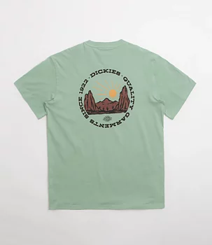 Dickies outdoor t-shirt 