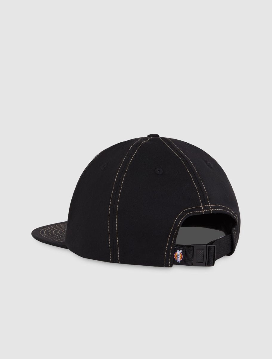 Dickies Hardwick two tone  keps - 2