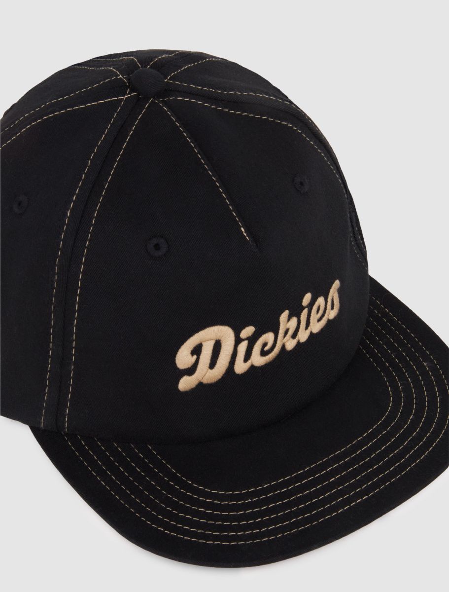 Dickies Hardwick two tone  keps - 3