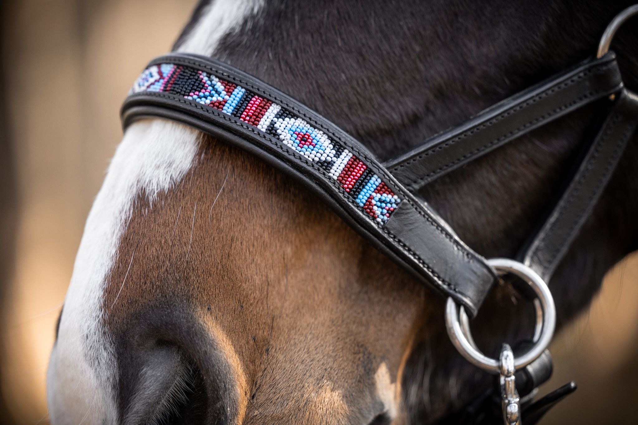 Sidepull (anatomical) F.R.A.® Sierra, incl. reins