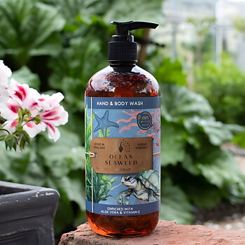 Ocean Seaweed  Hand & Body Wash (500 ml) - Anniversary