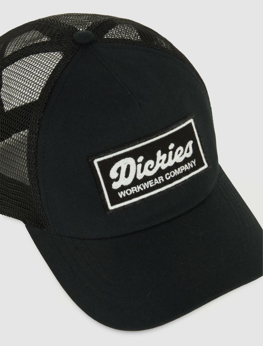 Dickies Hardwick two tone  keps - 2
