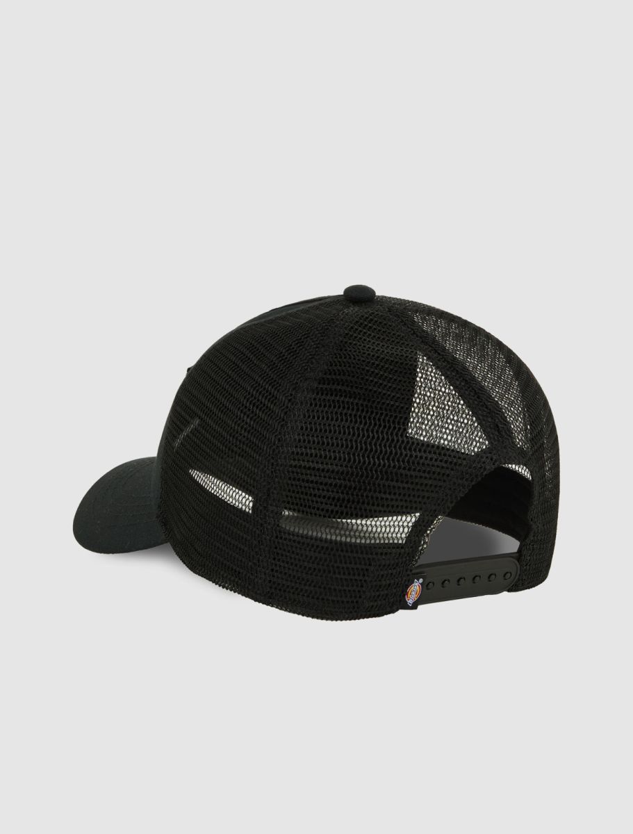 Dickies Hardwick two tone  keps - 3